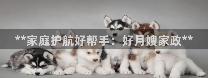 杏悦官网登录入口网址是什么