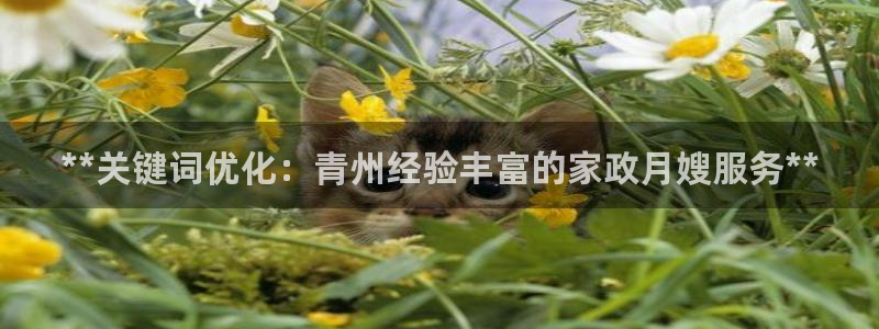杏悦官网