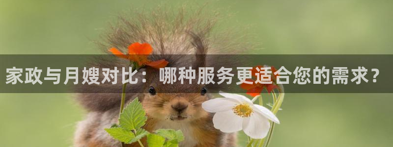 杏悦官方平台官网