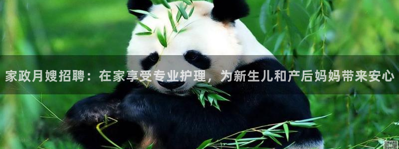 杏悦官网注册信息在哪里查看