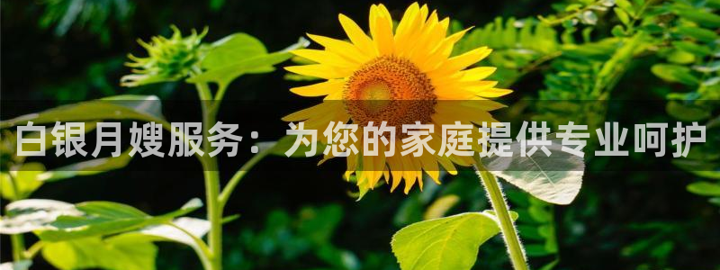 杏悦平台可靠吗