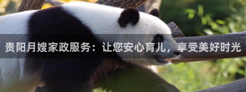 杏悦1招商地址