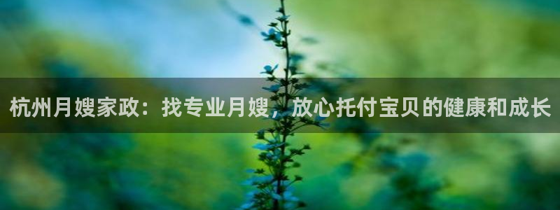 杏悦平台代理怎么样可靠吗
