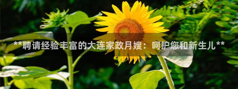 杏悦平台登录网址