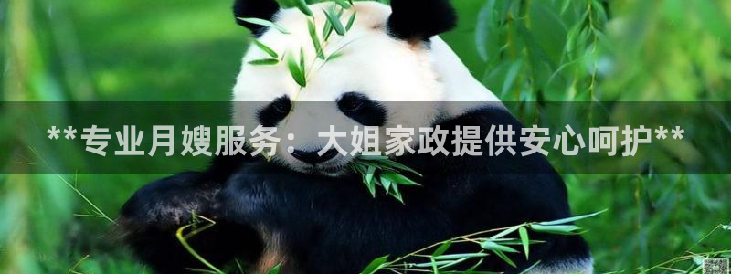 杏悦平台代理注册