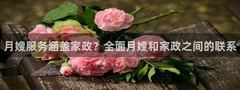 杏悦平台