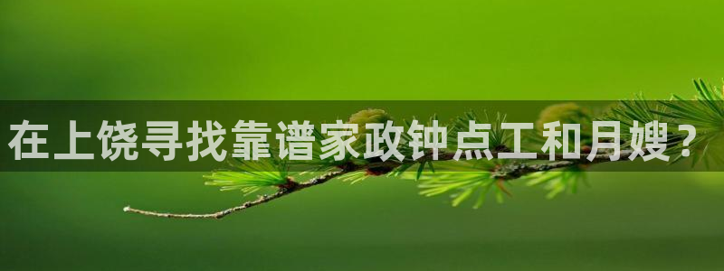 杏悦是什么平台