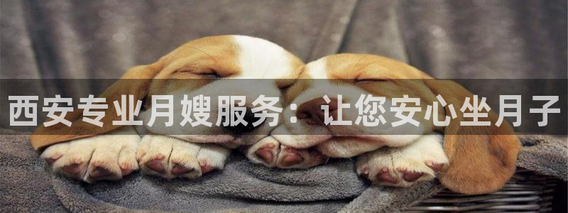 杏悦平台代理怎么样赚钱