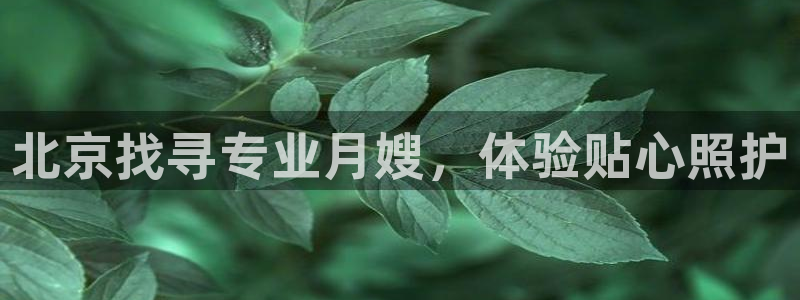 杏悦平台登录网址查询