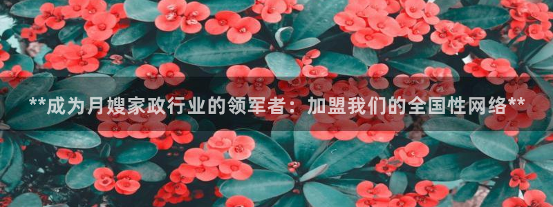 杏悦官网注册信息是什么