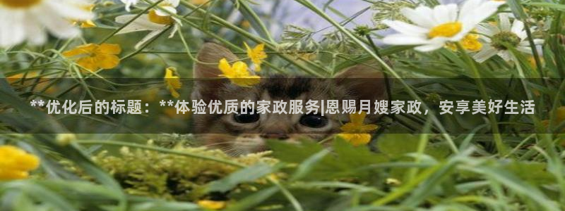 杏悦平台代理多少钱