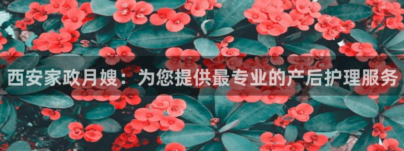杏悦平台可靠吗