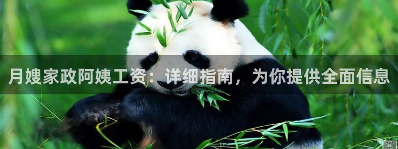 杏悦平台代理怎么做赚钱