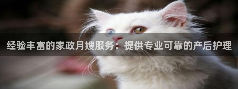 杏悦平台注册要钱吗