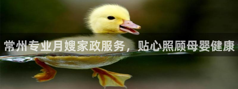 杏悦平台代理怎么做赚钱