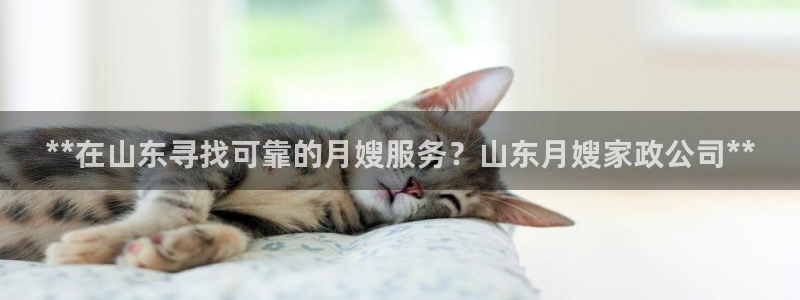 杏悦娱乐注册平台怎么样