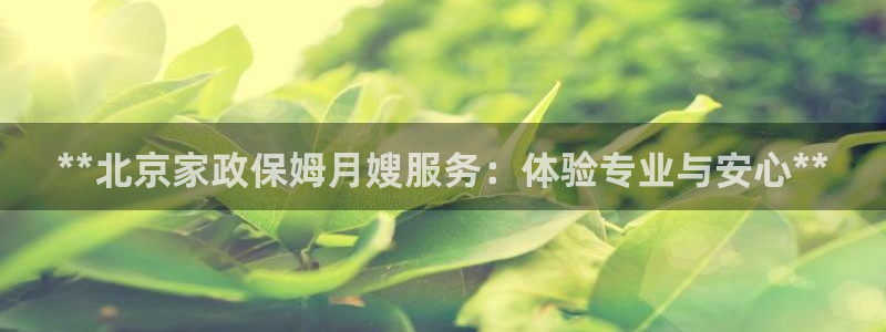 杏悦是什么平台