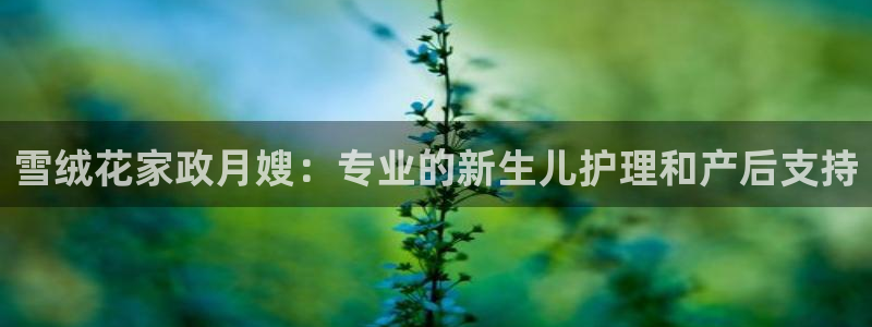杏悦官方平台是正品吗安全吗
