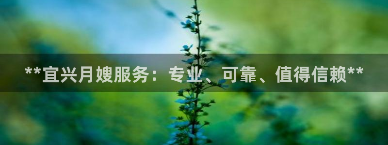 杏悦地址