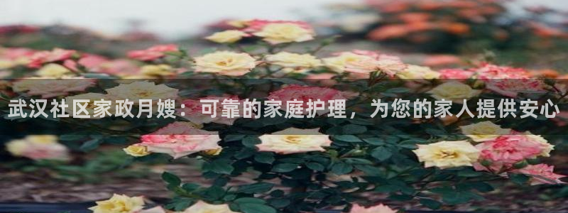 杏悦平台代理注册流程