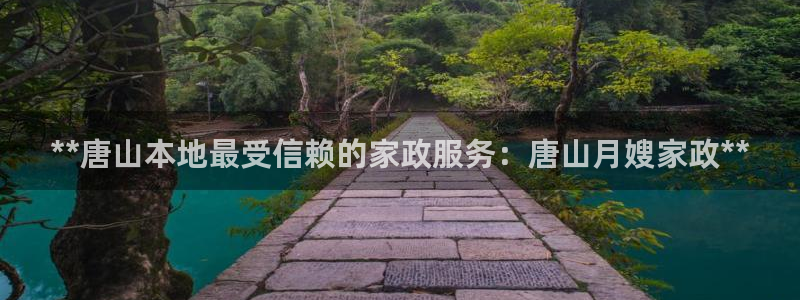 杏悦平台注册流程
