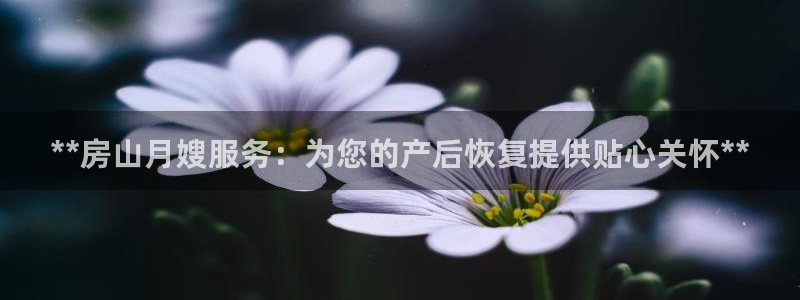杏悦注册官网