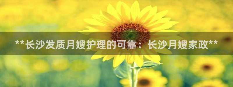杏悦招商地址