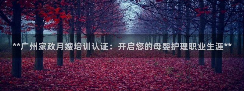 杏悦平台代理怎么做赚钱