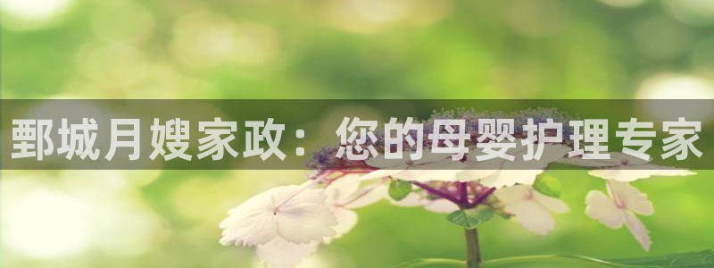 杏悦平台代理怎么赚钱快