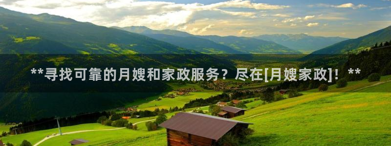 杏悦平台代理
