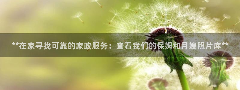 杏悦官方平台官网