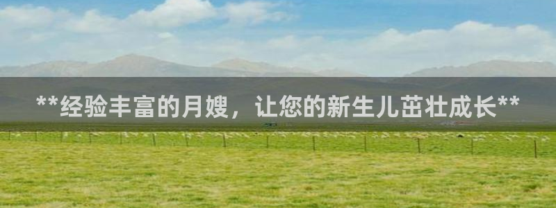 杏悦招商地址