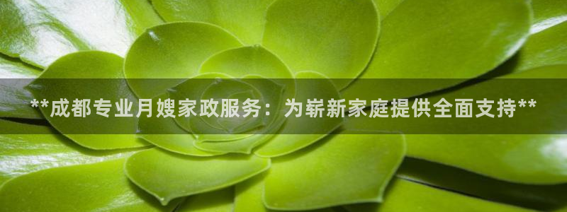 杏悦平台招商怎么样