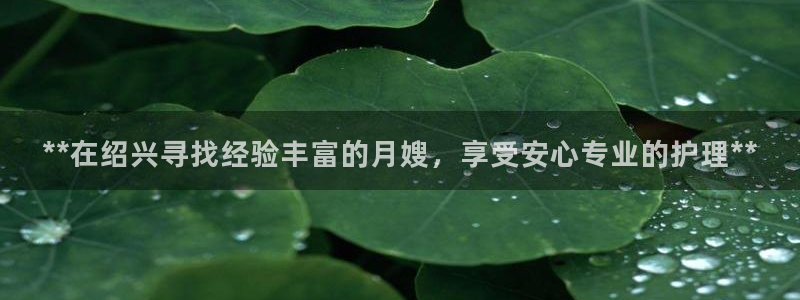 杏悦平台代理怎么样赚钱