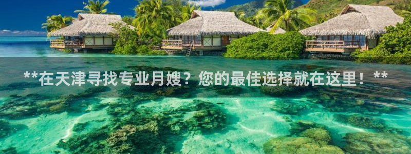 杏悦平台代理怎么做的