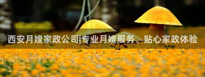 杏悦平台招商电话号码