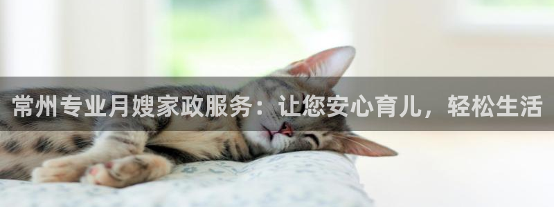 杏悦官方平台官网