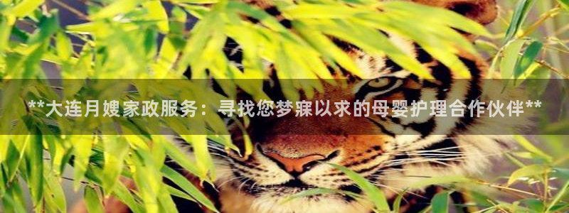 杏悦官网登录入口网址是什么