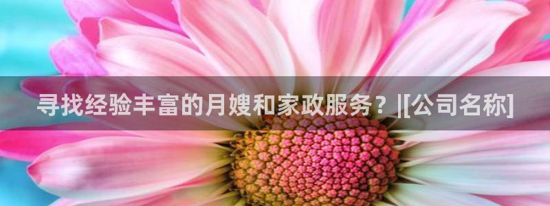 杏悦平台