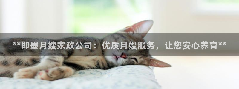 杏悦1招商地址
