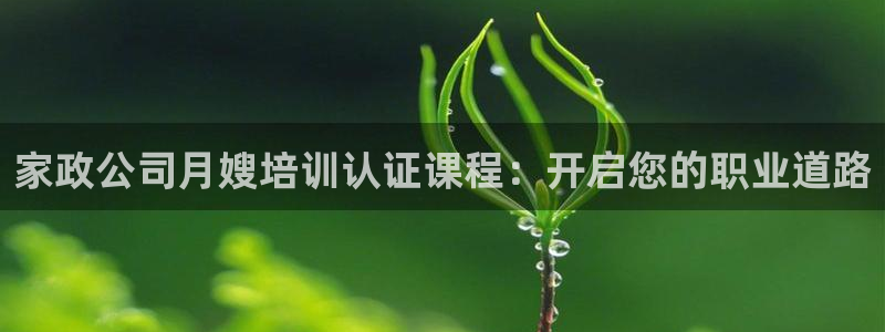 杏悦 -首选推荐平台