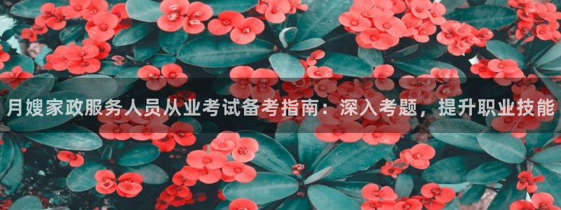 杏悦平台地址