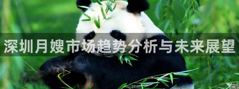 杏悦登录网址是什么