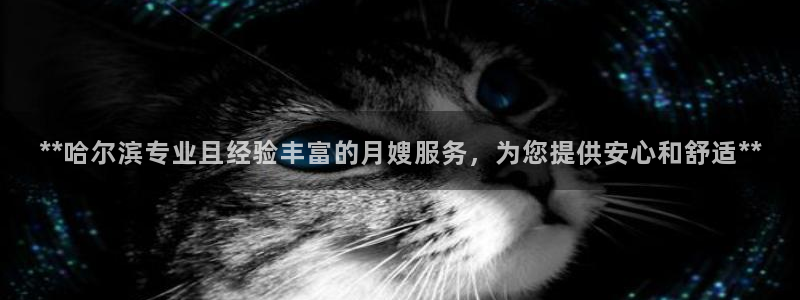 杏悦平台招商电话号码