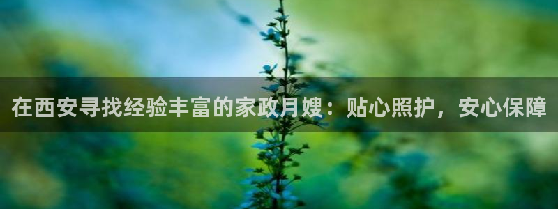 杏悦平台登陆