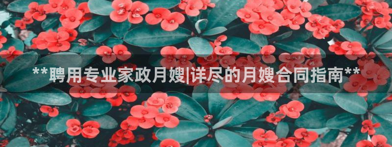 杏悦官方平台是正品吗安全吗