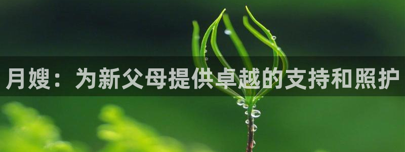 杏悦登录网址是什么