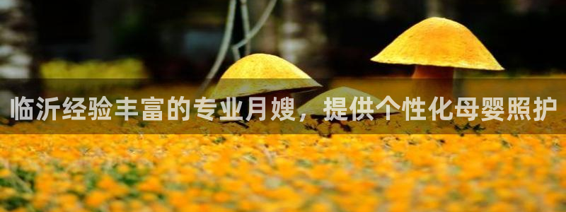 杏悦官方平台官网