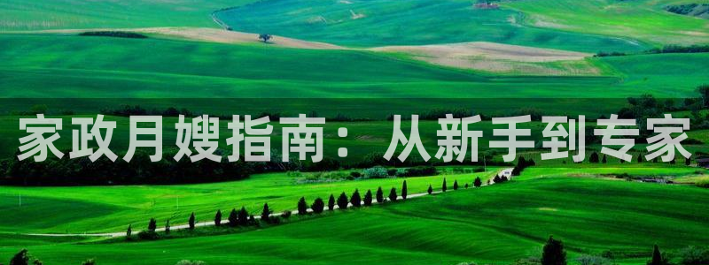 杏悦平台线路测速