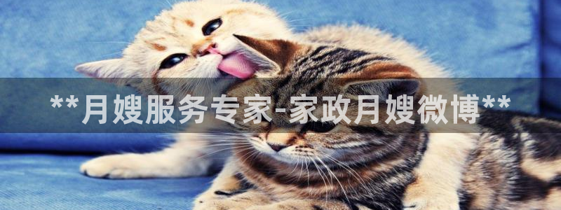 杏悦平台线路测速